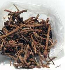 Racines de garance non coupees de Turquie